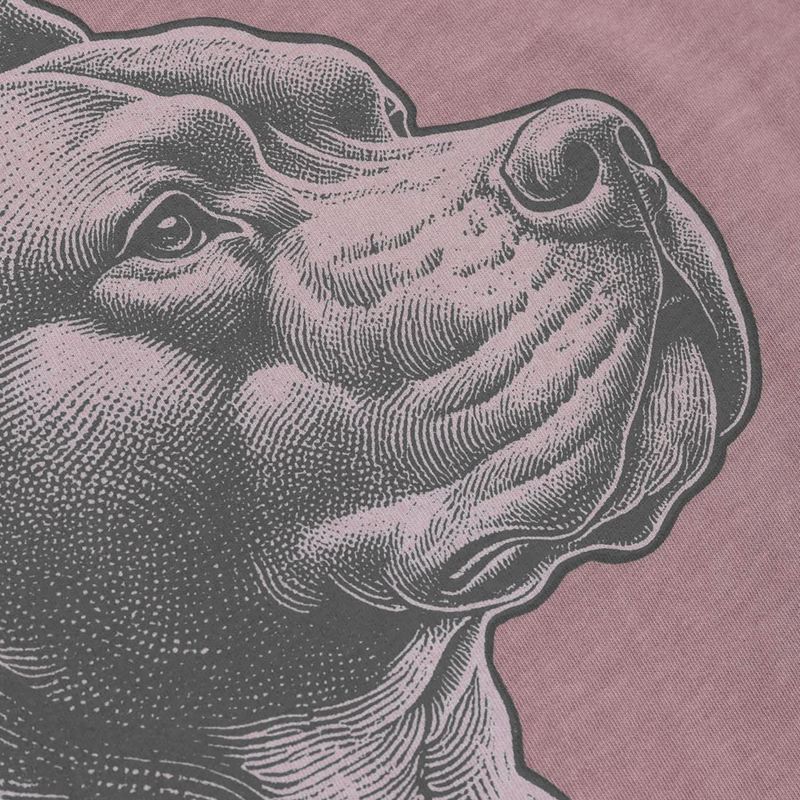 Koszulka męska Pitbull Pacyfic dusty burgundy 9
