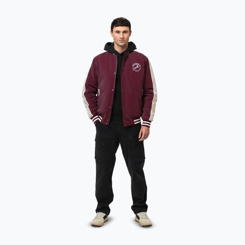 Kurtka męska Pitbull Manolito Baseball burgundy 2