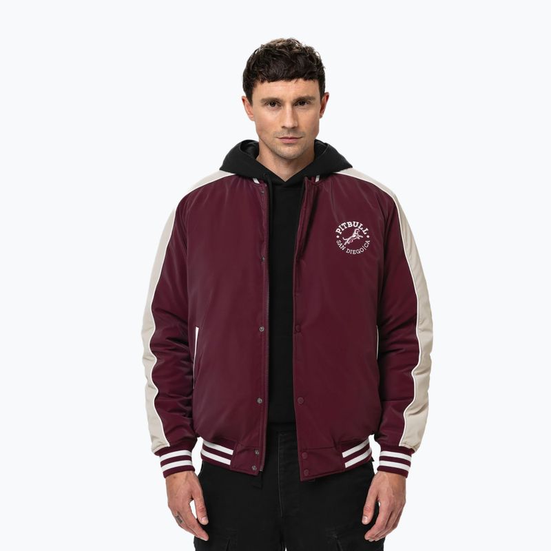 Kurtka męska Pitbull Manolito Baseball burgundy 4