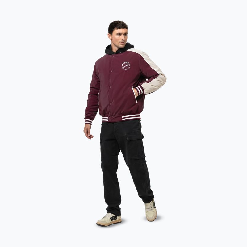 Kurtka męska Pitbull Manolito Baseball burgundy 5
