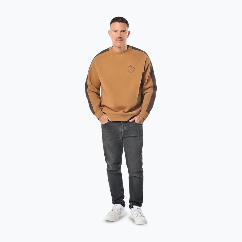 Bluza męska Pitbull San Diego Ca Crewneck honey yellow 2