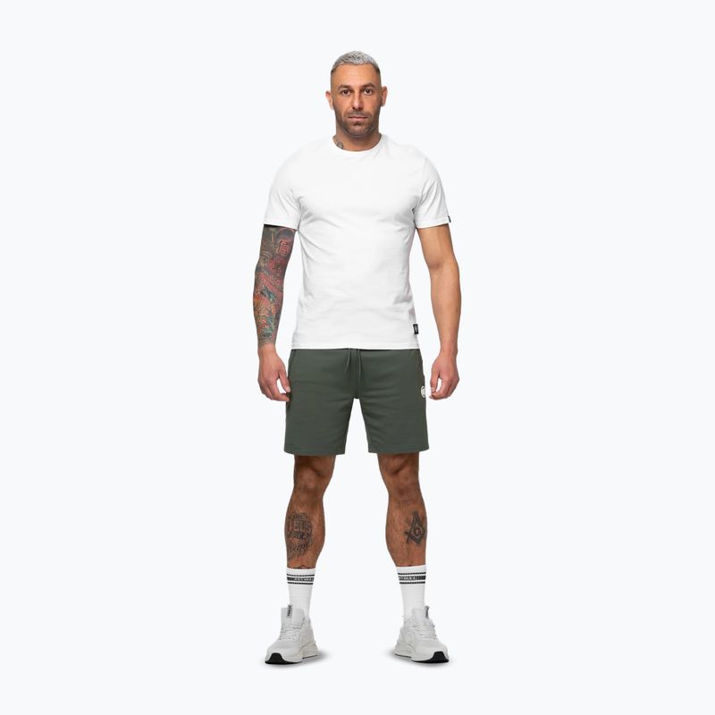 Spodenki męskie Pitbull Nugget Small Logo sage green 4