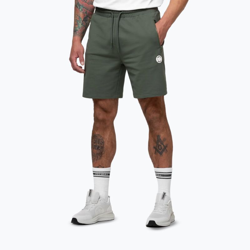 Spodenki męskie Pitbull Nugget Small Logo sage green 5