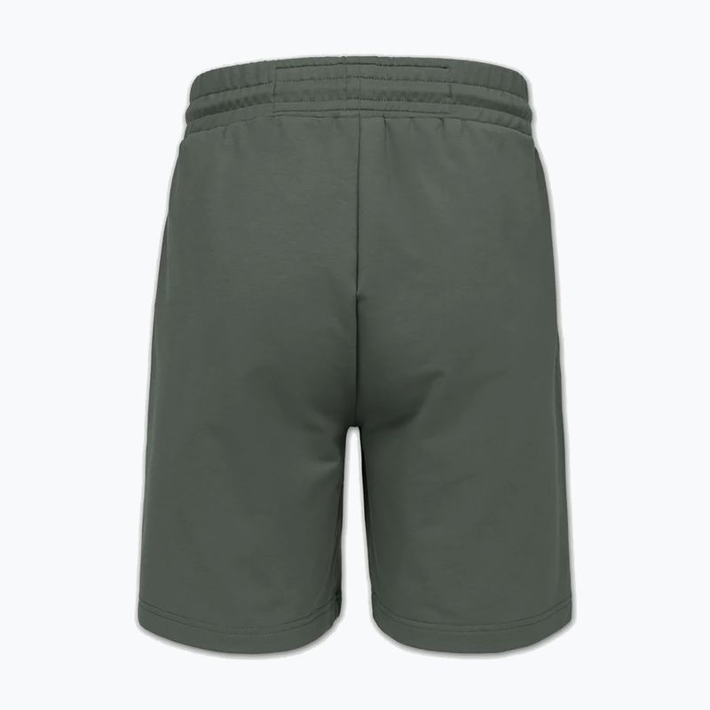 Spodenki męskie Pitbull Nugget Small Logo sage green 7