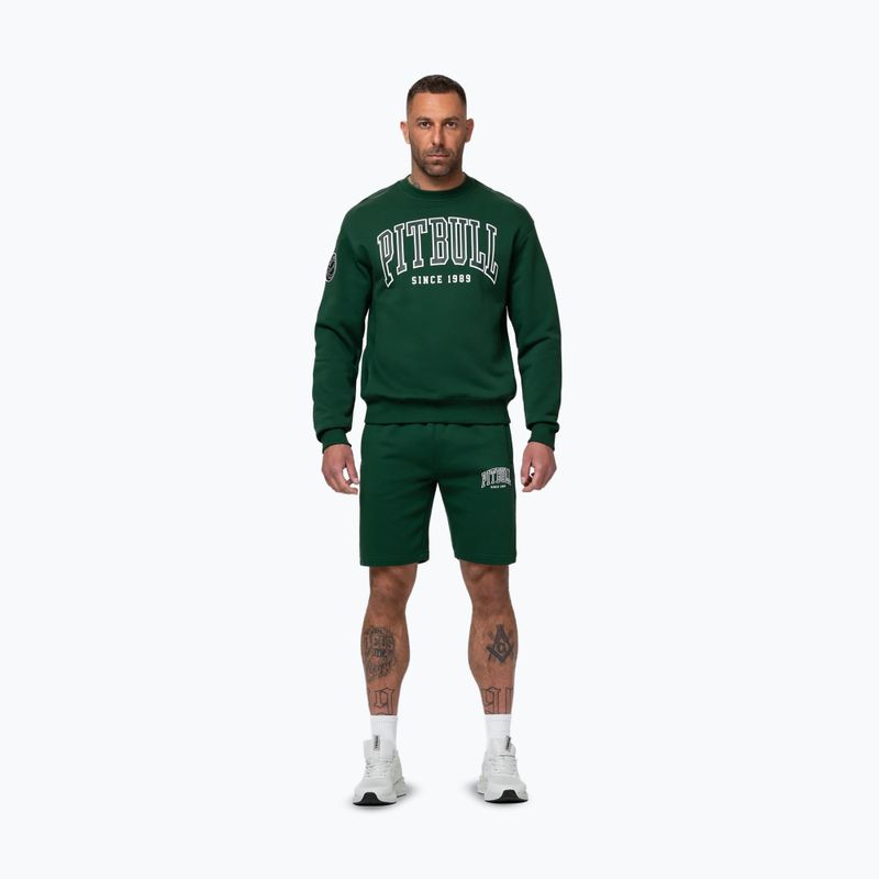Bluza męska Pitbull Badger Crewneck hunter/green 2