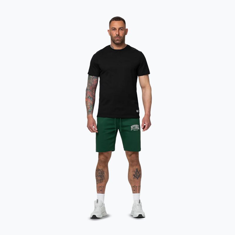 Spodenki męskie Pitbull Badger hunter green 2