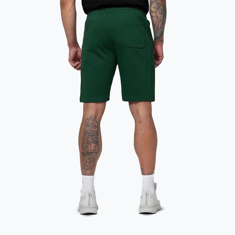 Spodenki męskie Pitbull Badger hunter green 3