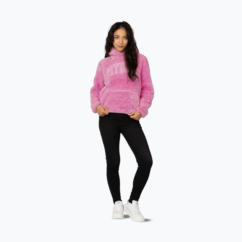 Bluza damska Pitbull Aragona Norton Hooded dark chocolate 2