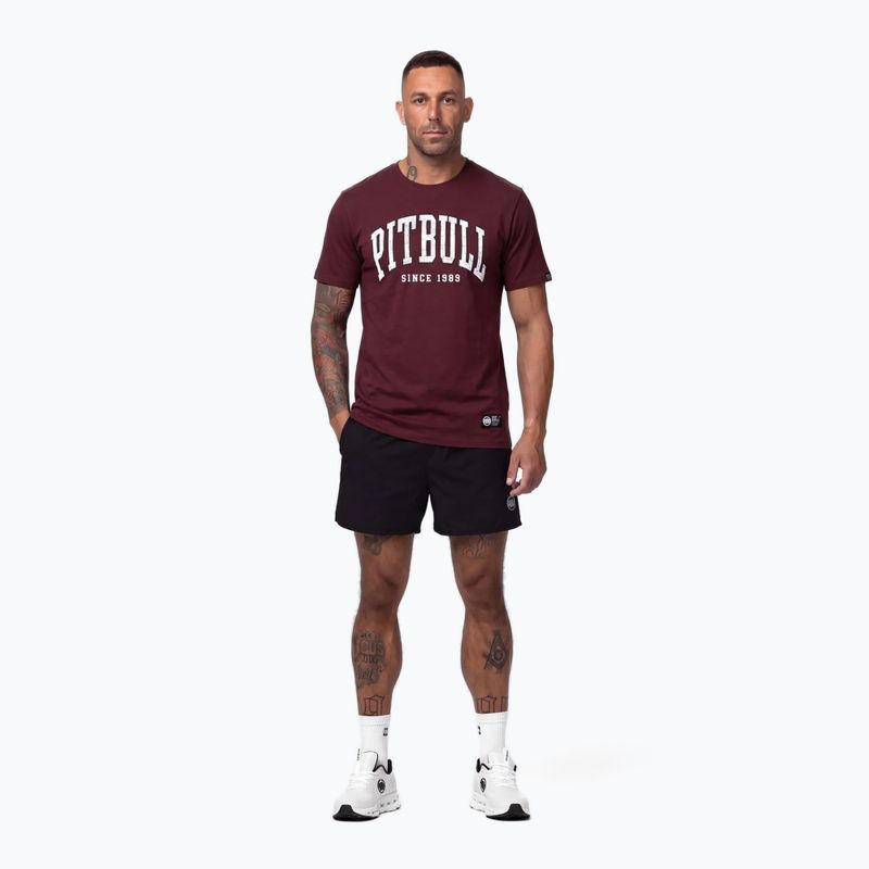 Koszulka męska Pitbull Norton burgundy 2