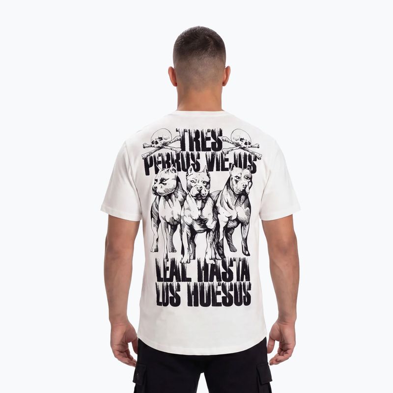 Koszulka męska Pitbull Tres Perros Viejos off white 2