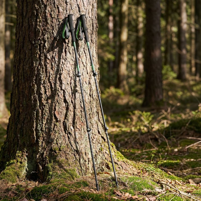 Kije trekkingowe KADVA Torre regulowane karbonowe zielony 9
