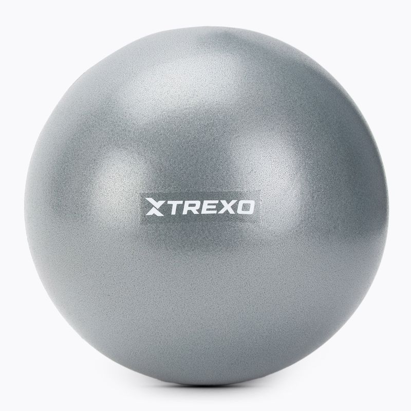 Piłka gimnastyczna mini XTREXO TXO-B4Z010-GY 20 cm szary
