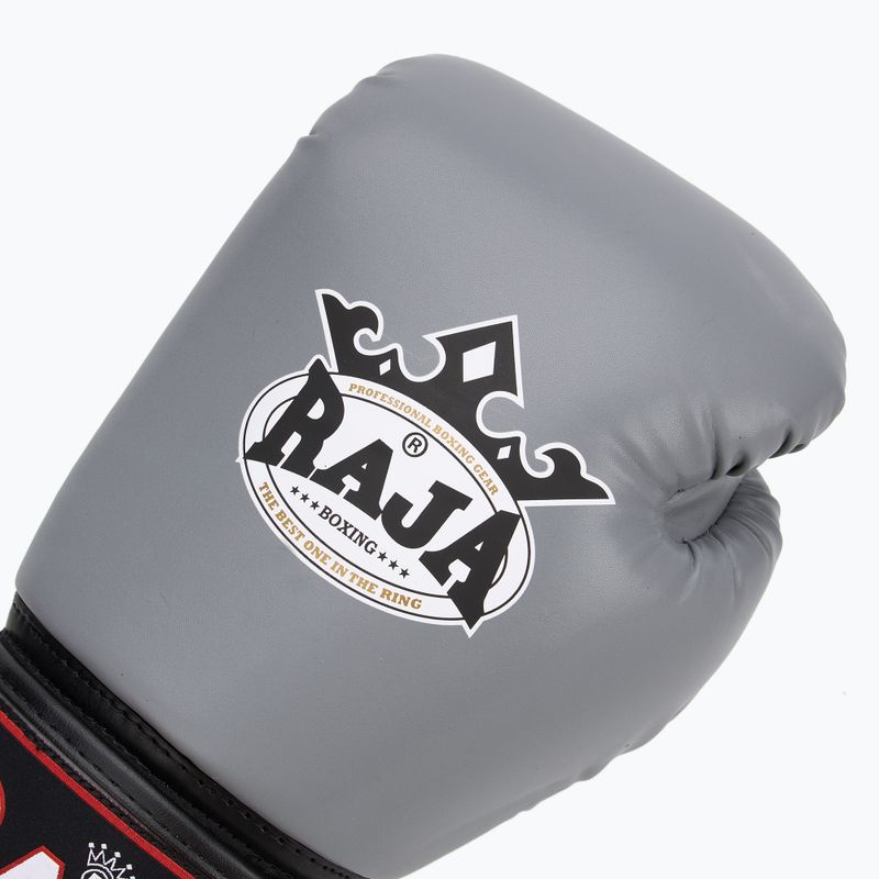 Rękawice bokserskie RAJA BOXING Single Semi Leather grey 5