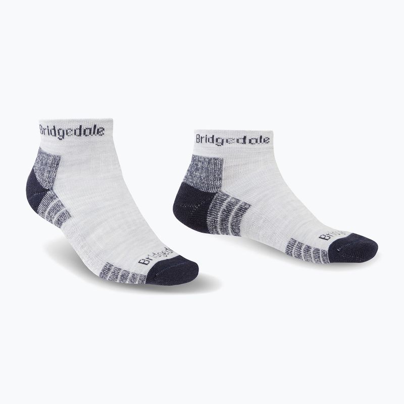 Skarpety męskie Bridgedale Hike Lightweight Performance Ankle silver/navy