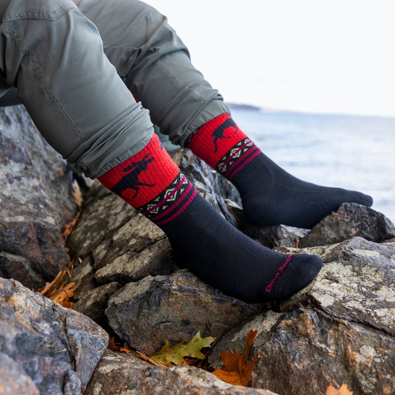 Skarpety męskie Darn Tough VanGrizzle Boot Sock Cushion moose black 6