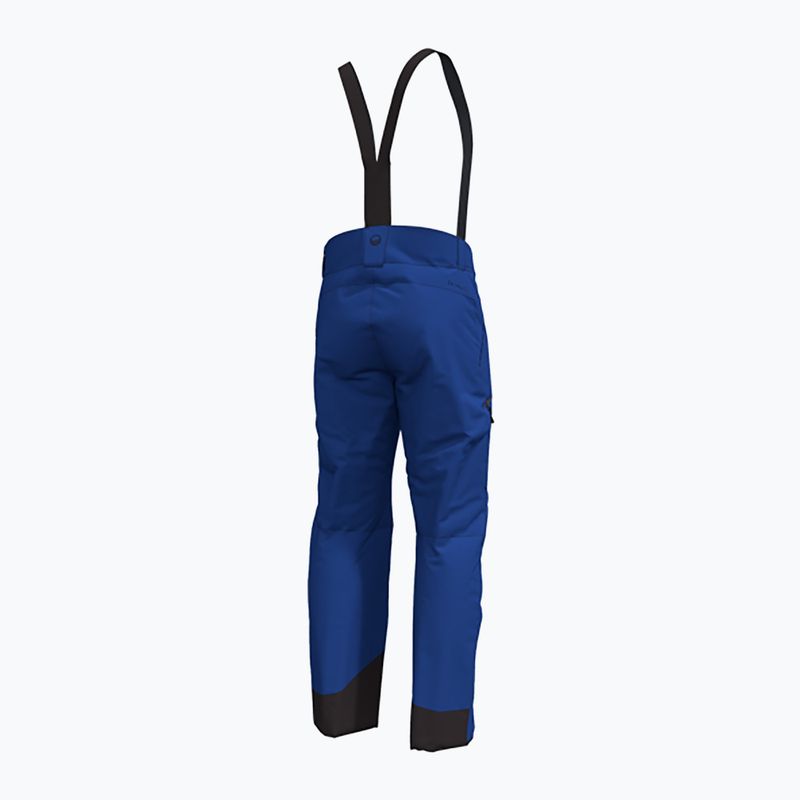 Spodnie narciarskie męskie Halti Carvey DX surf the web blue 9