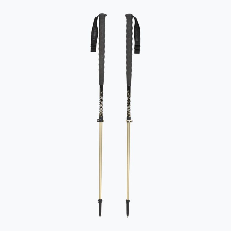Kije narciarskie HEAD Kore Free Tour metallic sand/black 5