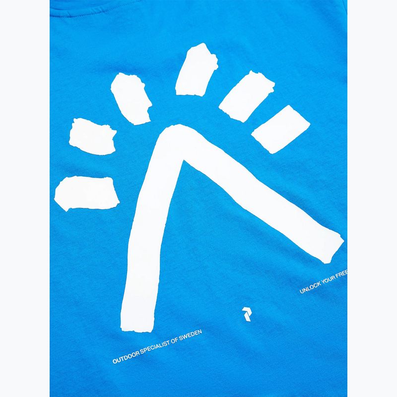 Koszulka męska Peak Performance Explore Graphic brilliant blue 6