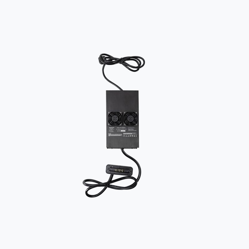 Ładowarka do deski elektrycznej Radinn Standard charger EU KP black