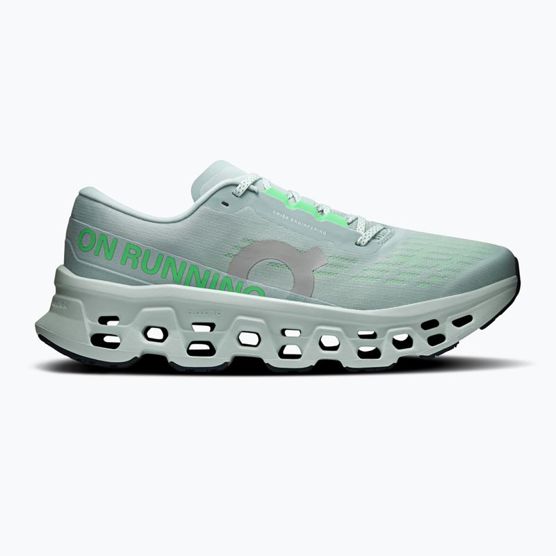 Buty do biegania męskie On Cloudmonster 3 brook/flurry 8