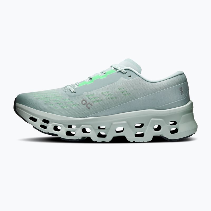 Buty do biegania męskie On Cloudmonster 3 brook/flurry 9