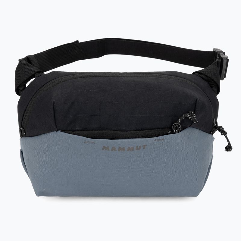 Saszetka nerka Mammut Alto Waistpack 2 l strata 6