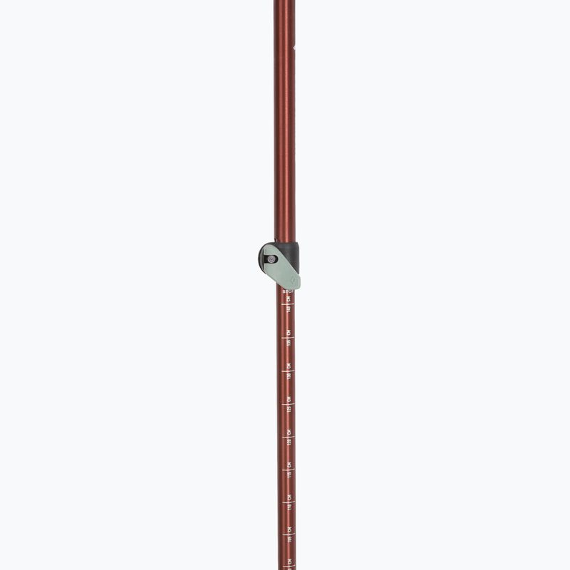 Kije trekkingowe Black Diamond Trail Trekking iron red 4
