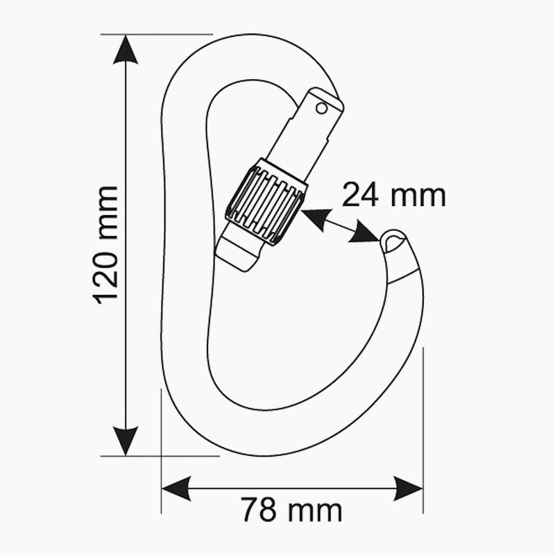 Karabinek wspinaczkowy CAMP Atom Lock blue 3