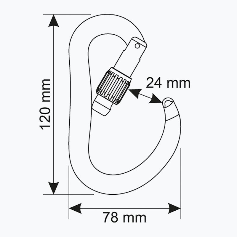 Karabinek wspinaczkowy CAMP Atom Lock gun metal 3