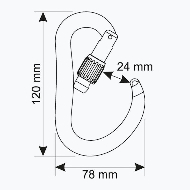 Karabinek CAMP Atom Lock black 3