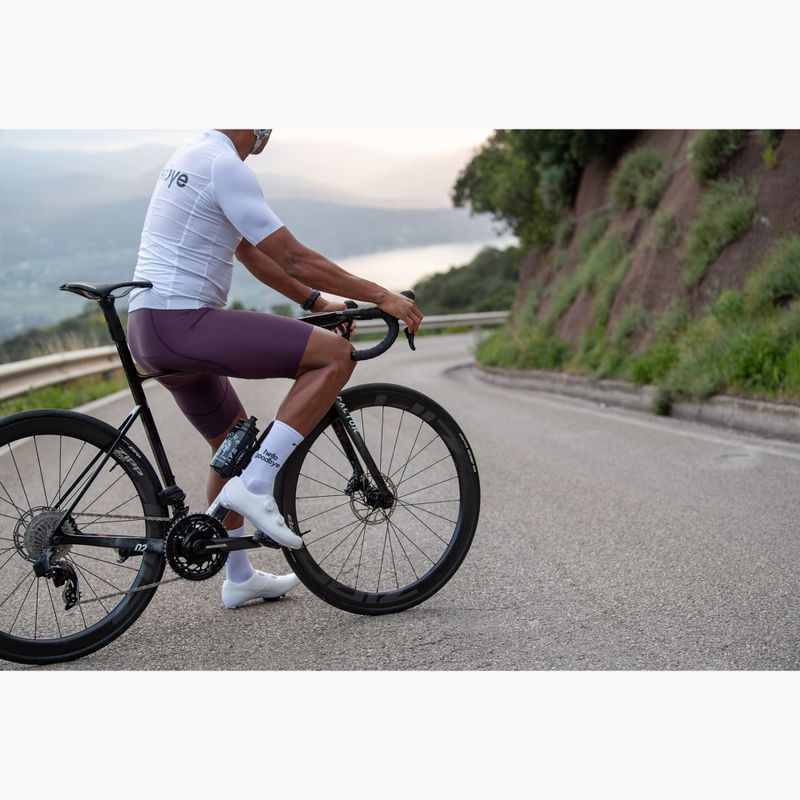 Spodenki rowerowe męskie Northwave Fast Bibshort grape wine 3