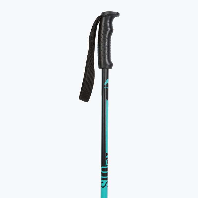 Kije narciarskie Fizan Storm light blue 2