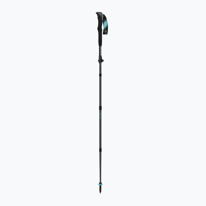Kije trekkingowe Fizan Ultrax Carbon light blue 2