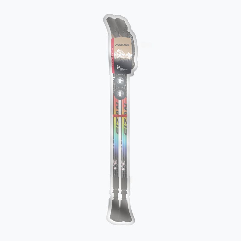 Kije nordic walking Fizan Speed Junior rainbow 3