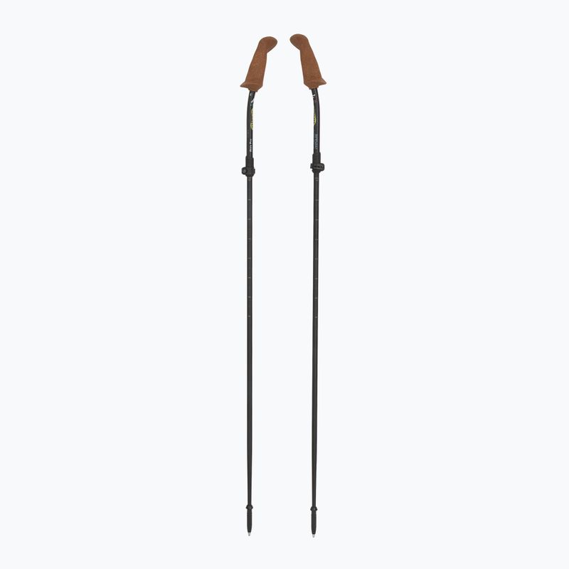 Kije nordic walking Fizan Walx Pro