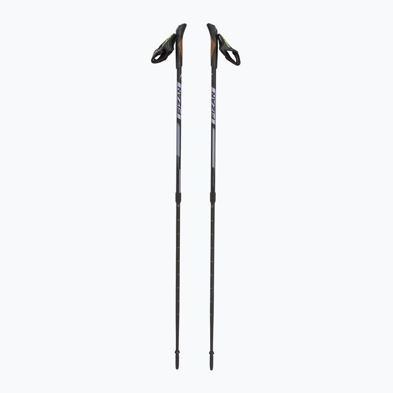 Kije nordic walking Fizan Speed violet