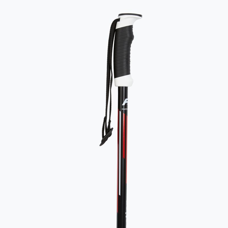 Kije narciarskie Fizan Action Pro red 2