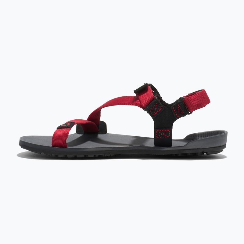 Sandały barefoot dziecięce Xero Shoes Z-Trail charcoal/red pepper 9