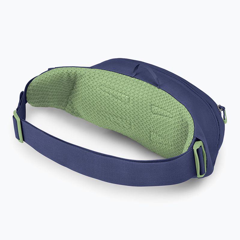Saszetka nerka Osprey Daylite Waist 2 l blue spikemoss/alkaline 2