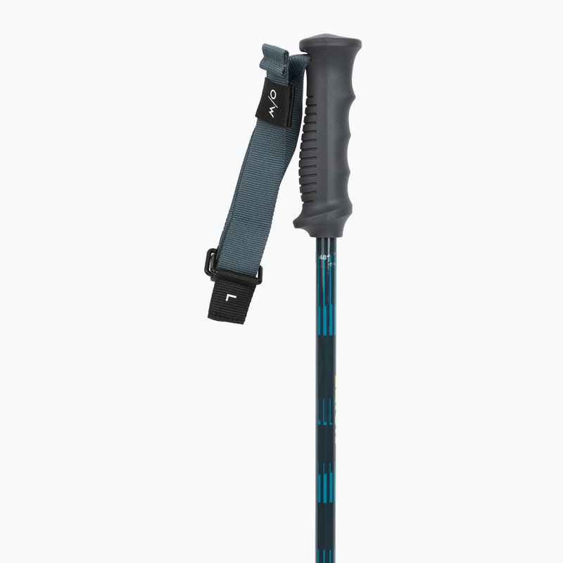 Kije narciarskie Fischer RC4 Noize grey / blue 2