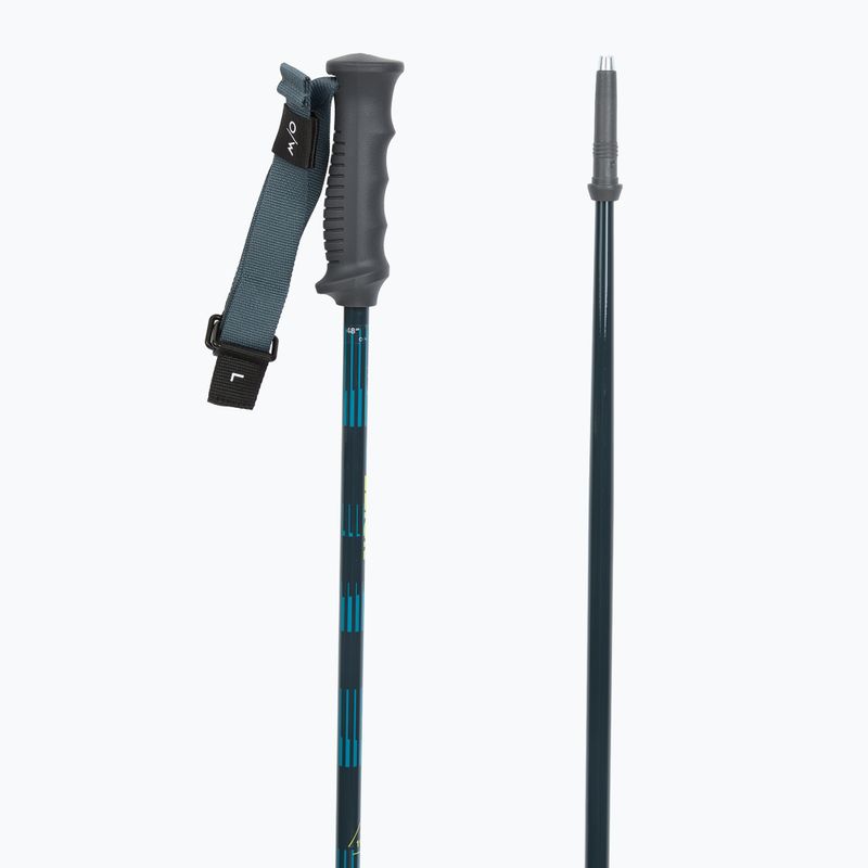 Kije narciarskie Fischer RC4 Noize grey / blue 3