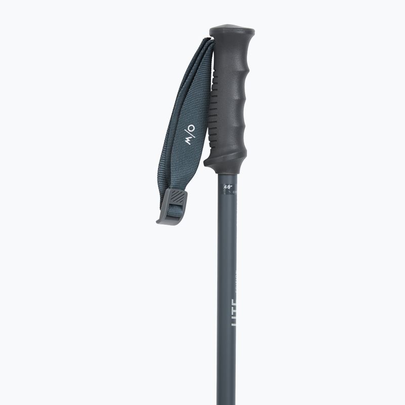 Kije narciarskie Fischer Lite asphalt grey 2