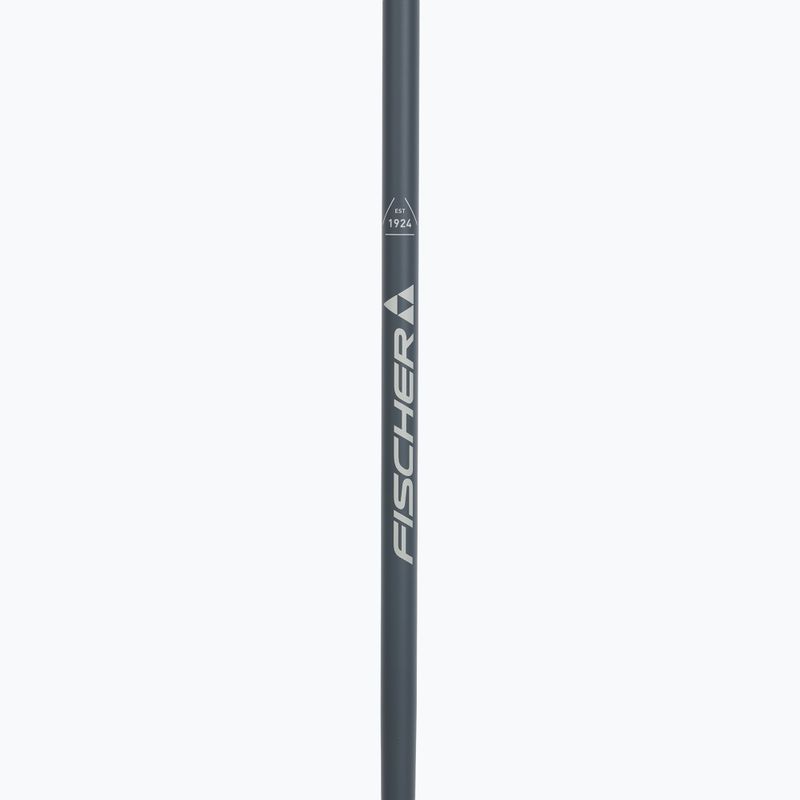 Kije narciarskie Fischer Lite asphalt grey 4
