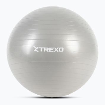 Piłka gimnastyczna XTREXO TXO-B4Z008-GY 65 cm szary