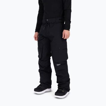 Spodnie snowboardowe męskie Colourwear Flight black