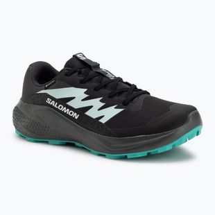Buty do biegania damskie Salomon Alphaglide GTX hantom/urban chic/waterfall