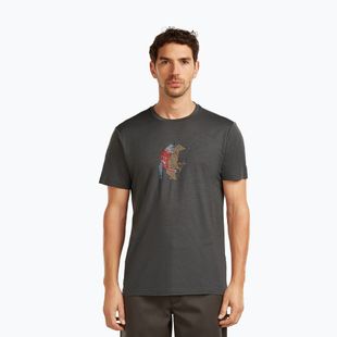 Koszulka męska icebreaker Merino 150 Tech Lite Bear Catch Tee obsidian