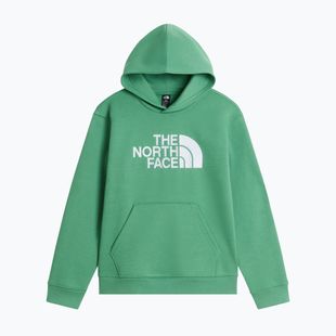Bluza dziecięca The North Face Essential Drew Peak Hoodie dimmed algae