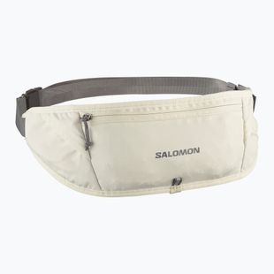 Pas do biegania Salomon Pulse Sling icicle/castlerock