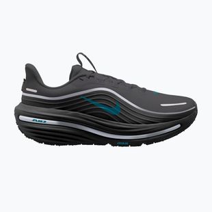 Buty do biegania męskie Nike Winflo 12 GORE-TEX anthracite/black/bright spruce